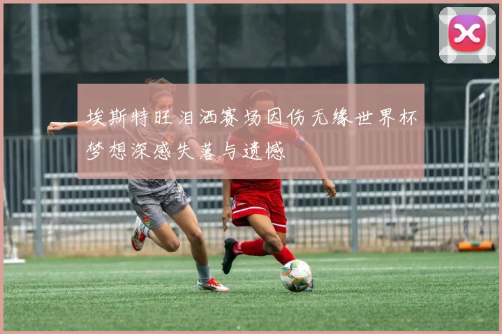 埃斯特旺泪洒赛场因伤无缘世界杯梦想深感失落与遗憾